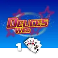 Deuces Wild 1 Hand - IDAGENT138